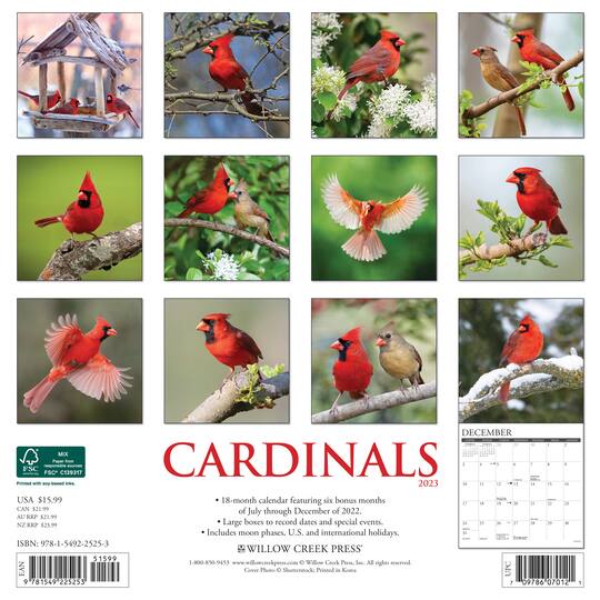 2023 Cardinals Wall Calendar Wall Calendars Michaels
